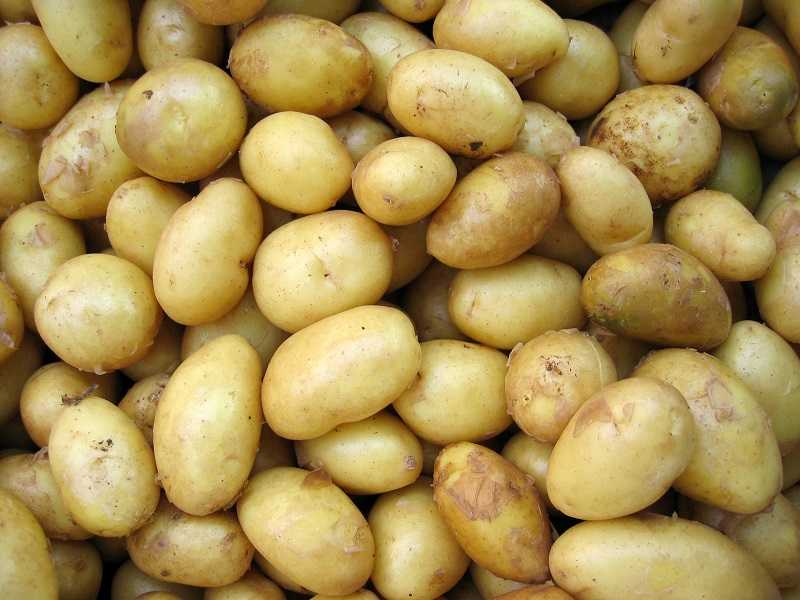 ziemniaki na diecie, fakty i mity, www.wittalna.pl, Kinga Wittenbeck